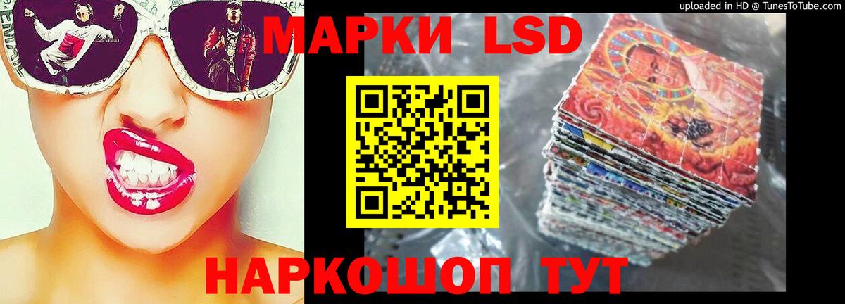  вход  Вход с VPN  Благодарный  Лсд 25 экстази кислота 